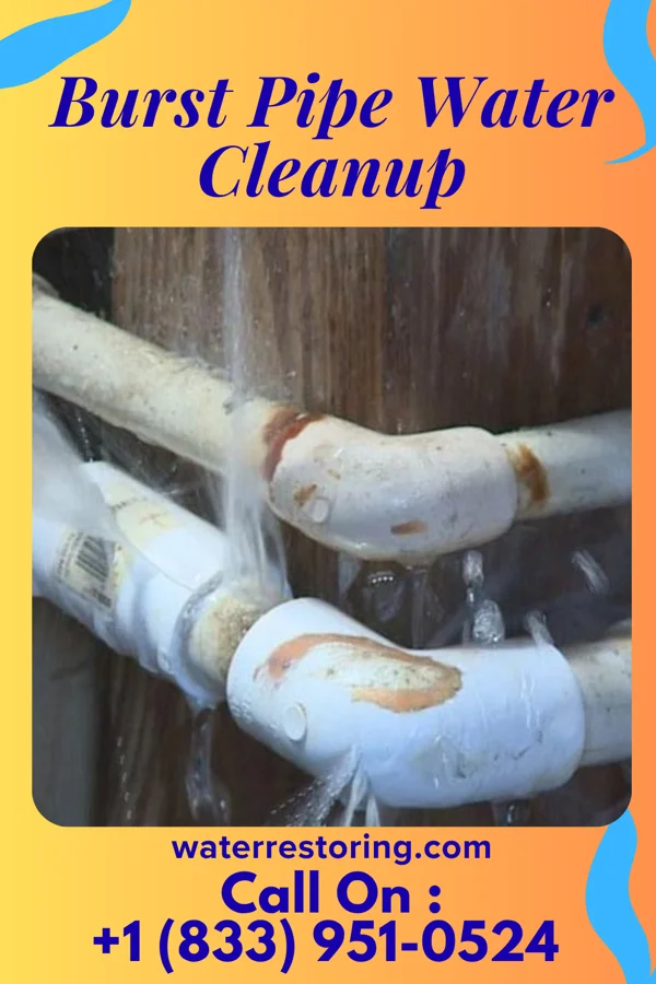 Burst Pipe Water Cleanup in Stovall, NC