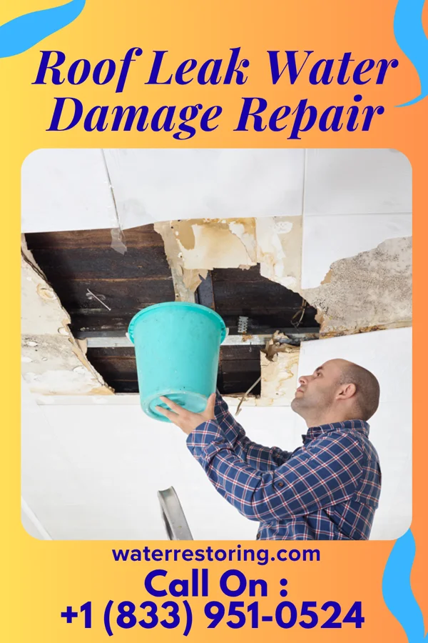 Roof Leak Water Damage Repair in Stovall, NC